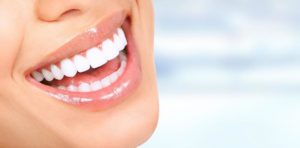 VP Dental |