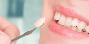 VP Dental |
