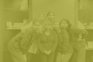 VP Dental |