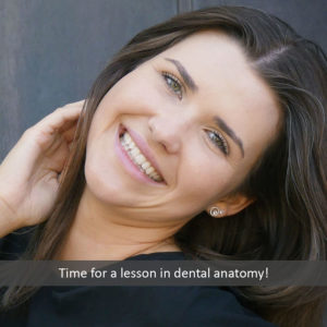 VP Dental |
