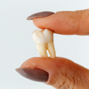 VP Dental |